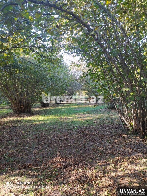 Zaqatala rayonunun Uzunqazmalar kəndi 2 otaq , Zaqatalada Zaqatala rayonunun Uzunqazmalar kəndi 2 otaq , Zaqatalada