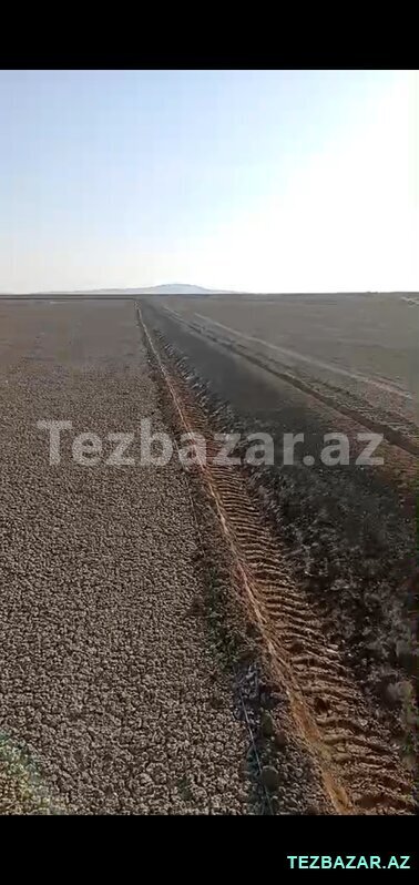 25 Ha Ələtdə 25 Ha Ələtdə