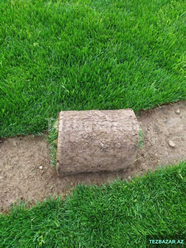 Qazon Satis Qazon Satis