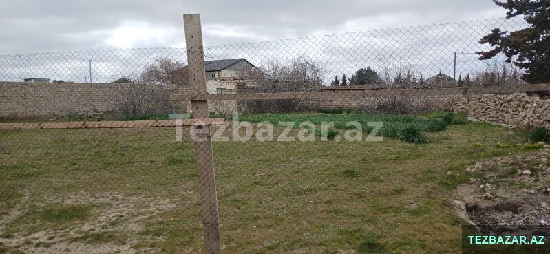 Torpaq Buzovnada- Albalılıq satılır Torpaq Buzovnada- Albalılıq satılır