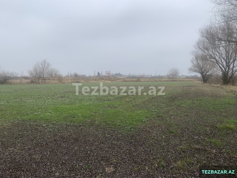 Xacmaz rayonu Carxi kend erazisindedi 32 sotdur Baki yolu usd Xacmaz rayonu Carxi kend erazisindedi 32 sotdur Baki yolu usd