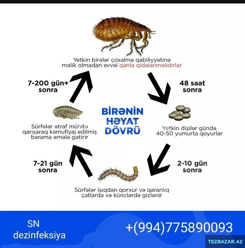 Dezinfeksiya sağlam Nəsil Dezinfeksiya sağlam Nəsil