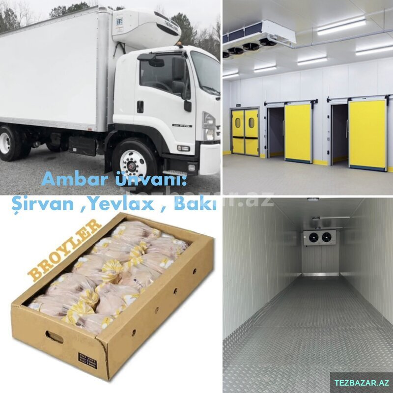 Broyler toyuq,topdan Broyler toyuq,topdan