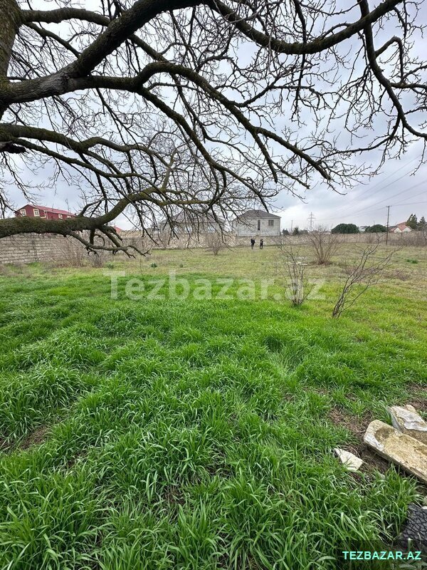 Buzovnada torpaq sahəsi satılır Buzovnada torpaq sahəsi satılır