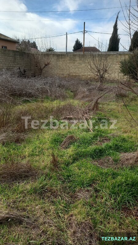 Torpaq sahəsi satıllr Torpaq sahəsi satıllr