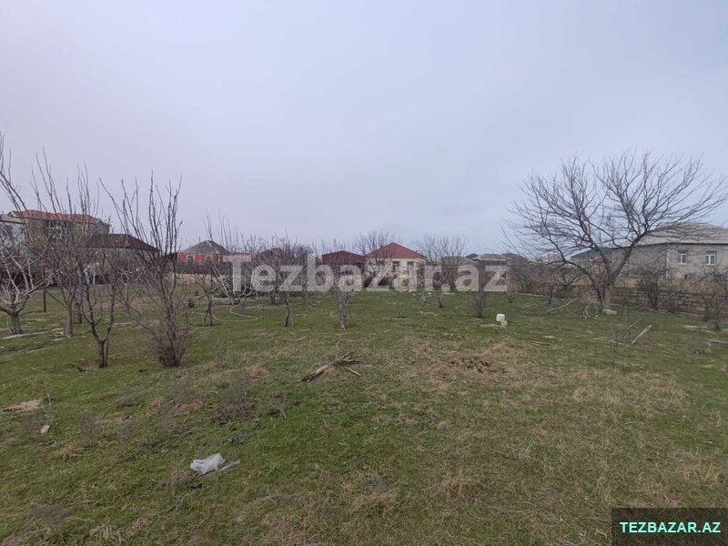 Saray qəsəbəsi, Arif Heydərov küçəsi Saray qəsəbəsi, Arif Heydərov küçəsi