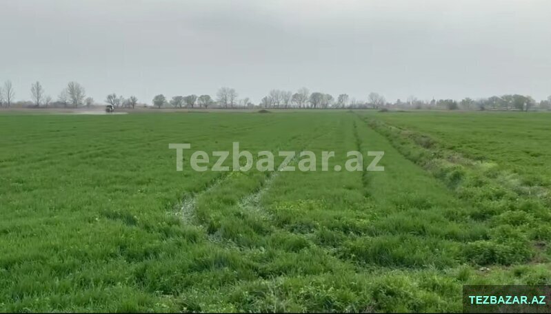 Qəbələ rayonu zarağan kəndində torpaq satram Qəbələ rayonu zarağan kəndində torpaq satram