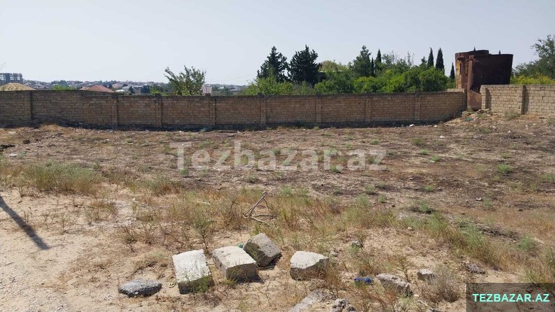 16 Sot Novxanı Bağ massivi 16 Sot Novxanı Bağ massivi