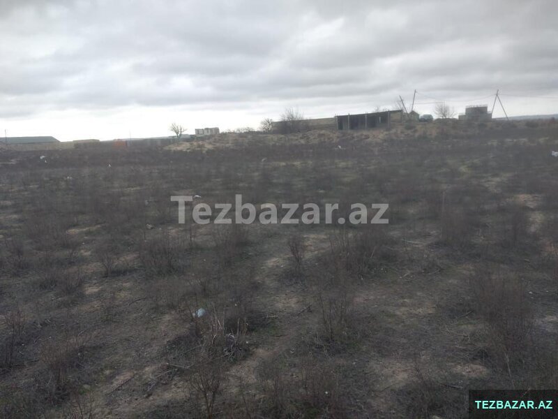 Ləhiş bağlarında 25 sot torpaq satılır Ləhiş bağlarında 25 sot torpaq satılır