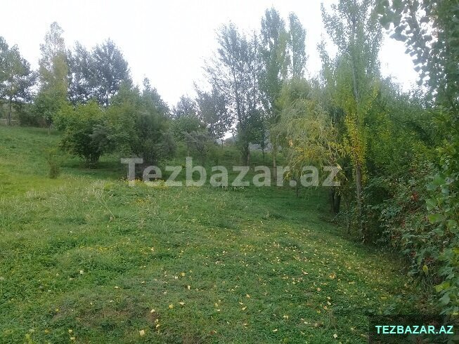 Lahıc, İsmayıllı kupçalı torpaq satılır Lahıc, İsmayıllı kupçalı torpaq satılır