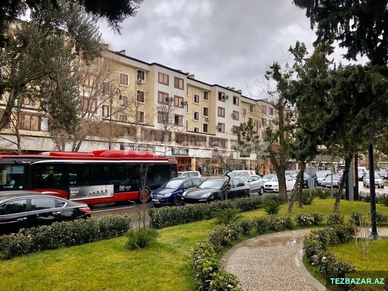 Gənclikdə, Atatürk Parkı, Ayna Sultanova heykəlinin qarşısın Gənclikdə, Atatürk Parkı, Ayna Sultanova heykəlinin qarşısın