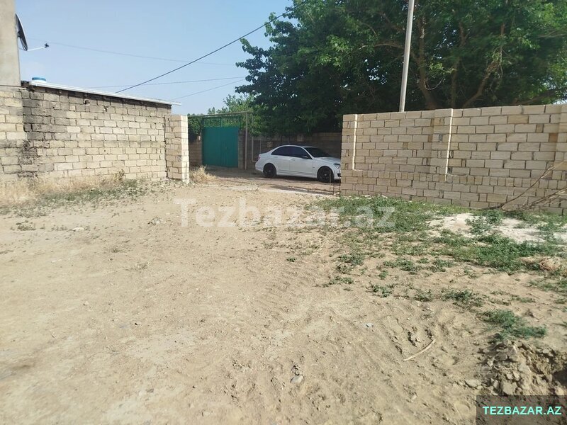 Abşeron, Novxanı bağları Abşeron, Novxanı bağları
