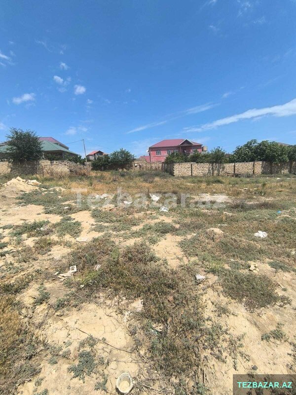 Sarayda 6.5 Sot Kupcalı Torpaq Sahesı Satılır Sarayda 6.5 Sot Kupcalı Torpaq Sahesı Satılır