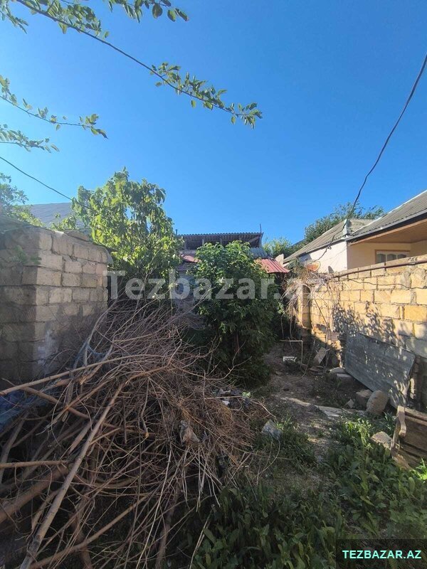Masazırda 2 Sot Kupcalı Torpaq Sahesı Satılır Masazırda 2 Sot Kupcalı Torpaq Sahesı Satılır