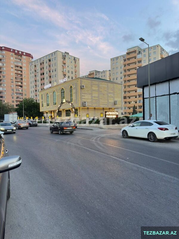 Neapol dairəsi Neapol dairəsi