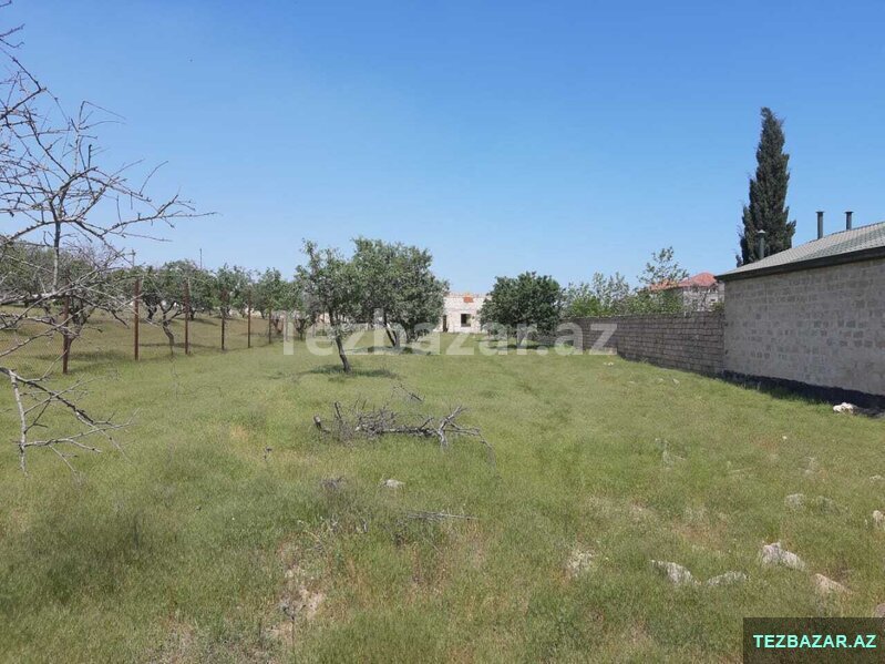 Villa Badam yaxinliqinda 16.5 sot torpaq sahesi satilir Villa Badam yaxinliqinda 16.5 sot torpaq sahesi satilir
