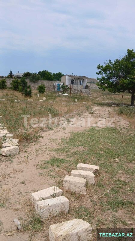 Torpaq satılır 2 sot Albalılıq Torpaq satılır 2 sot Albalılıq