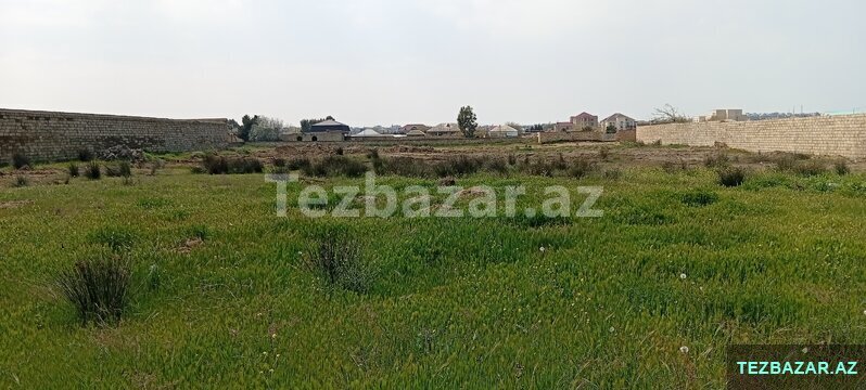 Bilgeh Nardaran baglar massivi Bilgeh Nardaran baglar massivi