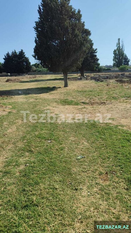 Ramanının merjezi Ramanının merjezi