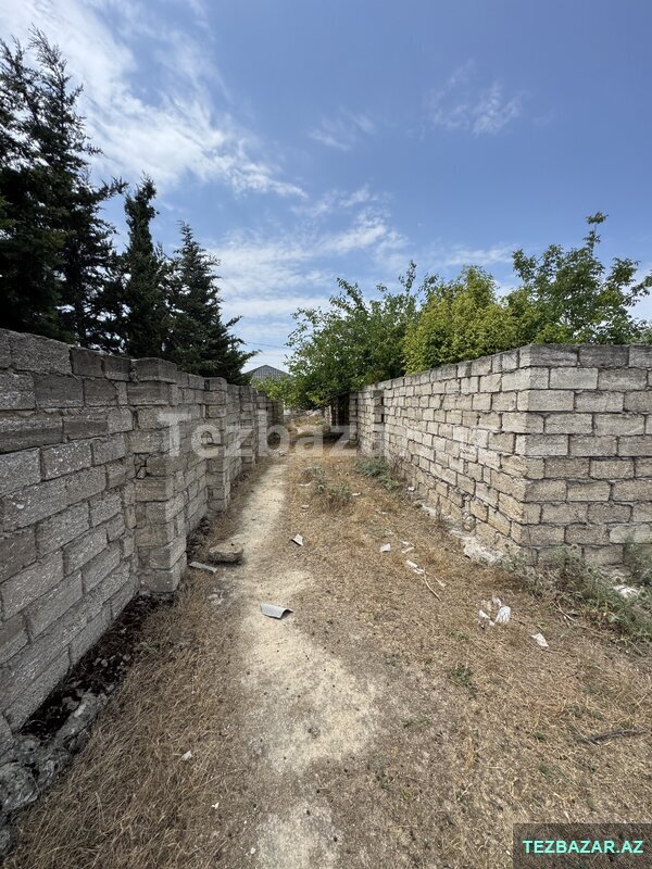 Albalılıq (Vişnyovka) Samır market yaxınlığı Albalılıq (Vişnyovka) Samır market yaxınlığı