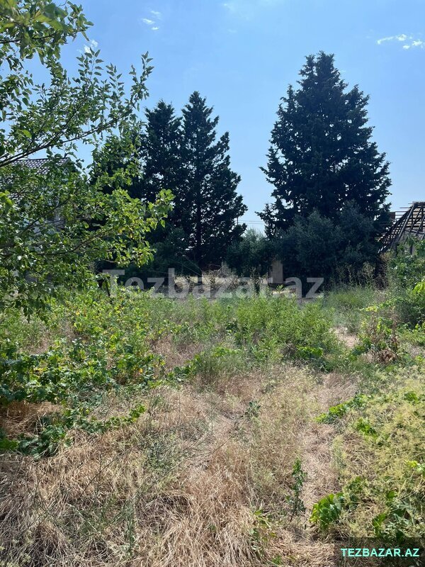 torpaq satılır torpaq satılır