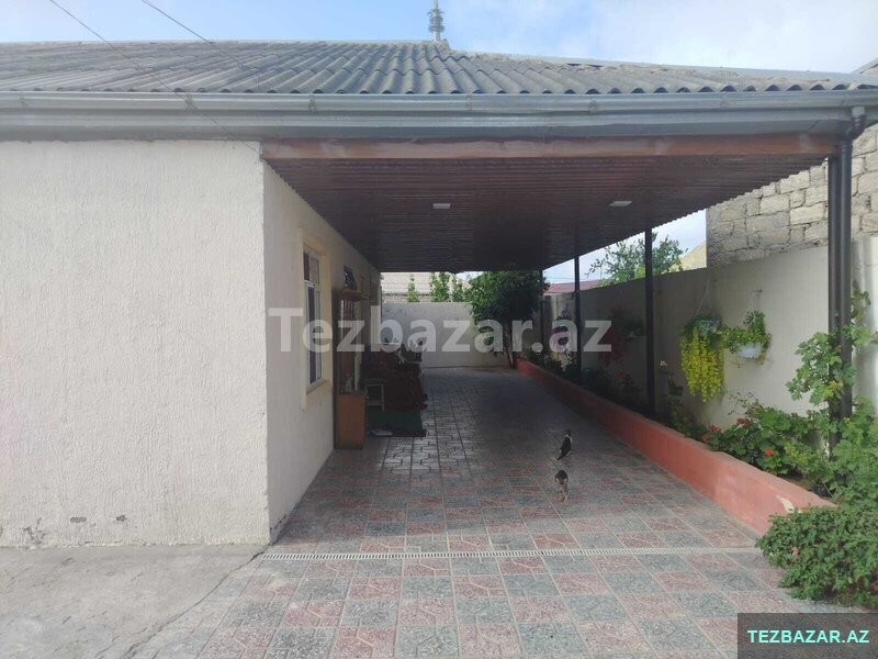 Buzovna Albalılıqda həyət evi satılır Buzovna Albalılıqda həyət evi satılır