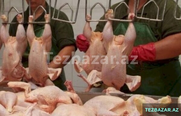 Toyuq məhsullarının qablaşdırılması və paketlesdirilmesi Toyuq məhsullarının qablaşdırılması və paketlesdirilmesi