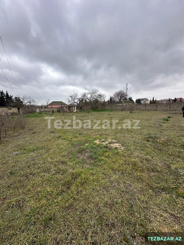 Albalılıqda torpaq sahəsi satılır Albalılıqda torpaq sahəsi satılır