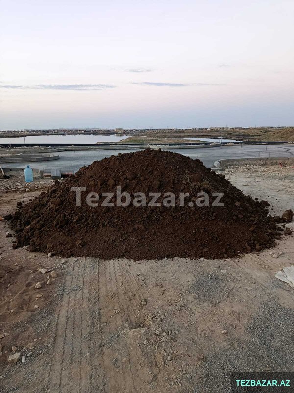 Qara torpaq və peyin Qara torpaq və peyin