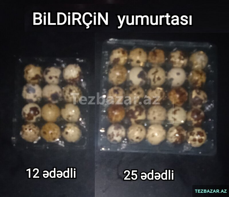 Bildirçin yumurtası Bildirçin yumurtası