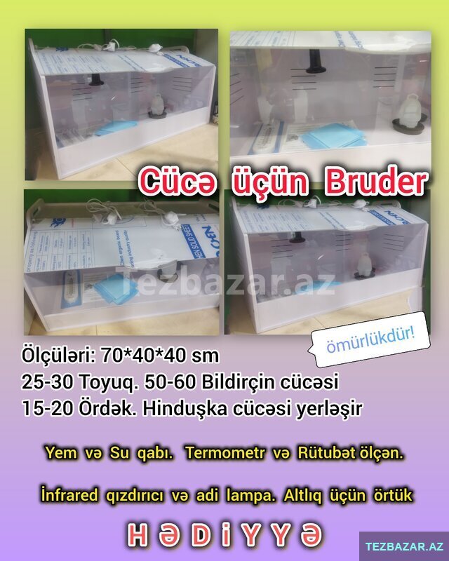 ● Cücə üçün hazır Bruder ● Cücə üçün hazır Bruder