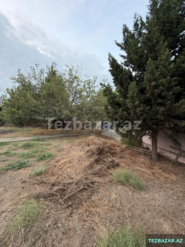 Satılır torpaq 6 sot, Şağan q Satılır torpaq 6 sot, Şağan q