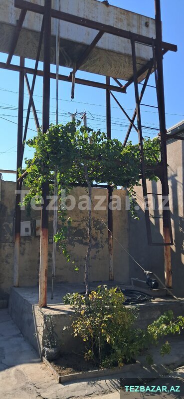 Su Çəni Su Çəni