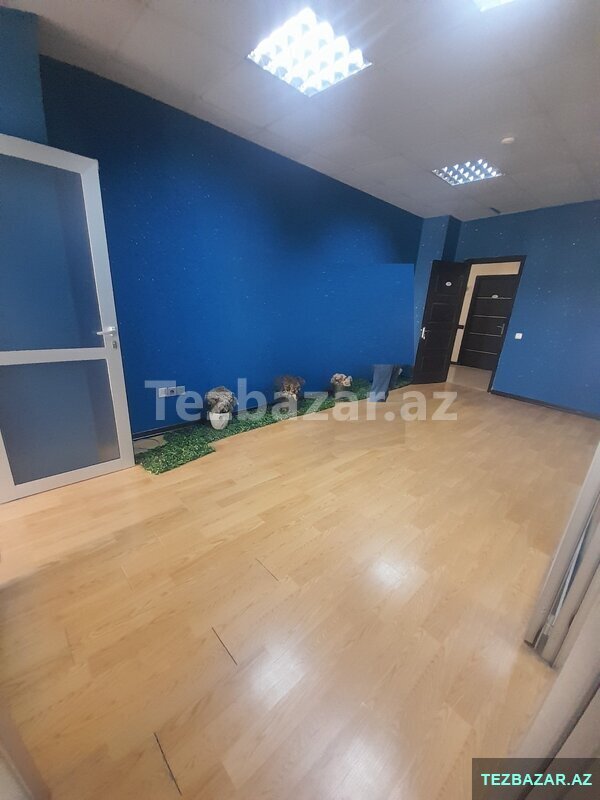 plazada 3 otaqlı ofis 110 kv plazada 3 otaqlı ofis 110 kv
