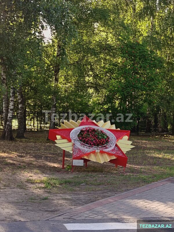Dayə işi axtarıram Dayə işi axtarıram