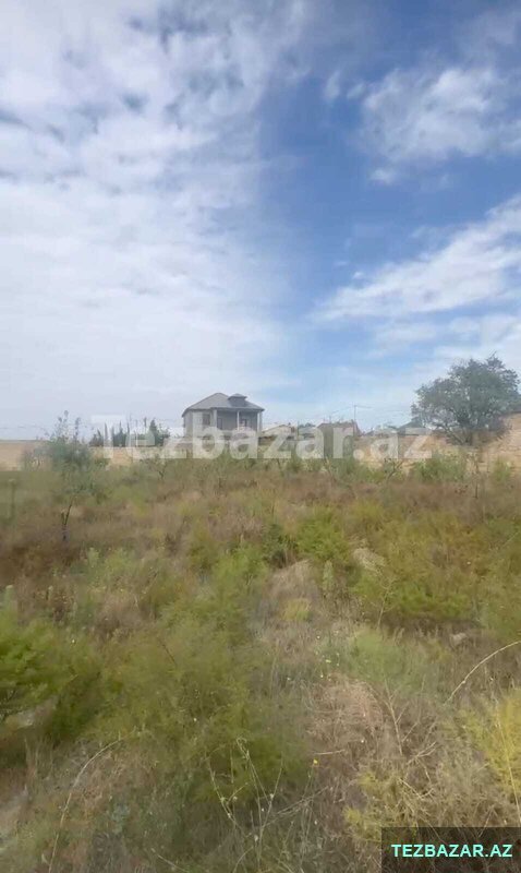 Saray, Siyavuş Aslan küçəsi Saray, Siyavuş Aslan küçəsi
