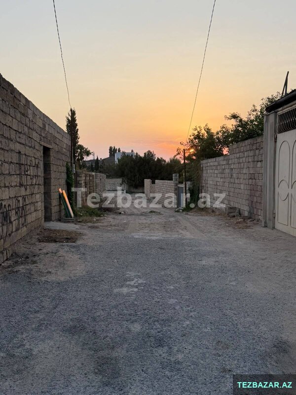 Novxanı, Çinarlı küçəsi Novxanı, Çinarlı küçəsi