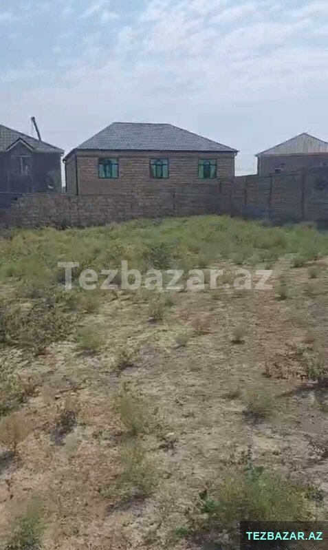 Saray bağları, Qurd dərəsi ərazisi Saray bağları, Qurd dərəsi ərazisi